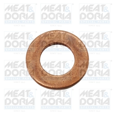 Seal Ring, injector